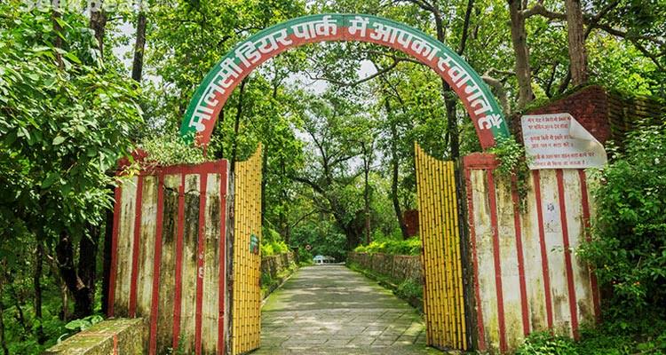 Malsi deer Park dehradun